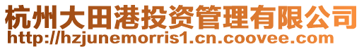 杭州大田港投資管理有限公司