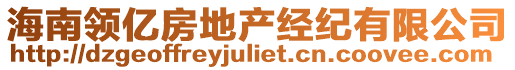 海南領(lǐng)億房地產(chǎn)經(jīng)紀(jì)有限公司