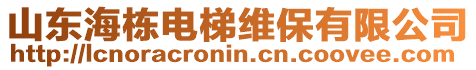 山東海棟電梯維保有限公司