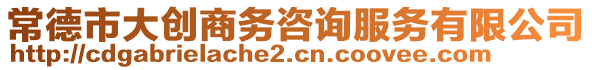 常德市大创商务咨询服务有限公司