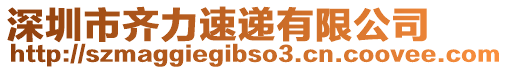 深圳市齊力速遞有限公司