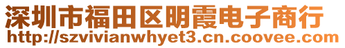 深圳市福田區(qū)明霞電子商行