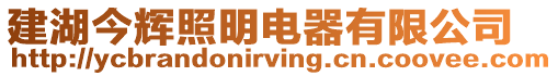 建湖今輝照明電器有限公司