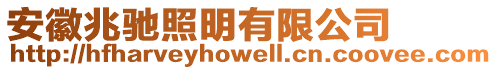 安徽兆馳照明有限公司