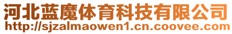 河北藍(lán)魔體育科技有限公司