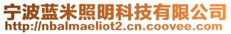 寧波藍(lán)米照明科技有限公司