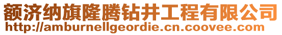 額濟納旗隆騰鉆井工程有限公司