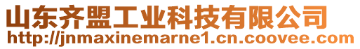 山東齊盟工業科技有限公司