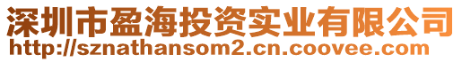 深圳市盈海投資實業有限公司