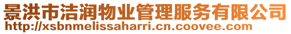 景洪市潔潤(rùn)物業(yè)管理服務(wù)有限公司