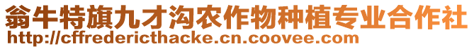 翁牛特旗九才溝農(nóng)作物種植專業(yè)合作社