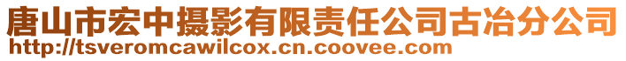 唐山市宏中攝影有限責(zé)任公司古冶分公司