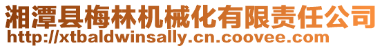 湘潭縣梅林機械化有限責任公司