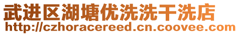 武進(jìn)區(qū)湖塘優(yōu)洗洗干洗店