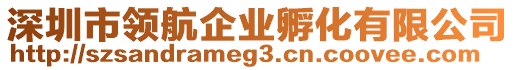 深圳市領(lǐng)航企業(yè)孵化有限公司