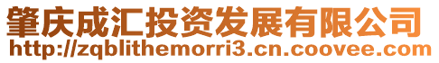 肇慶成匯投資發(fā)展有限公司