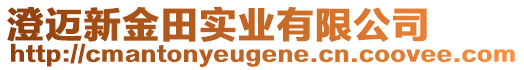 澄邁新金田實(shí)業(yè)有限公司