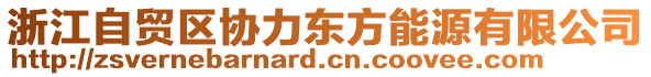 浙江自貿(mào)區(qū)協(xié)力東方能源有限公司