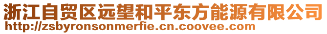 浙江自貿(mào)區(qū)遠(yuǎn)望和平東方能源有限公司