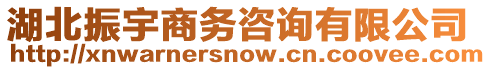 湖北振宇商務(wù)咨詢有限公司