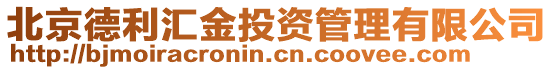 北京德利匯金投資管理有限公司