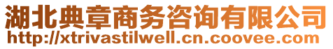 湖北典章商務(wù)咨詢有限公司