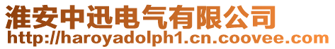 淮安中迅電氣有限公司