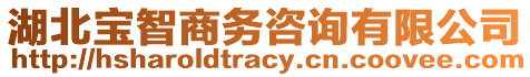 湖北寶智商務(wù)咨詢有限公司