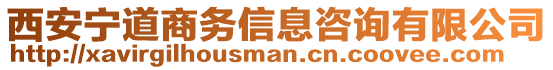 西安寧道商務(wù)信息咨詢有限公司