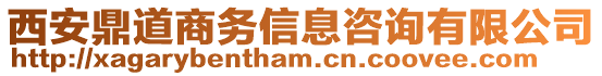 西安鼎道商務(wù)信息咨詢有限公司