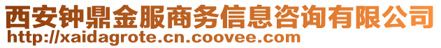 西安鐘鼎金服商務(wù)信息咨詢有限公司