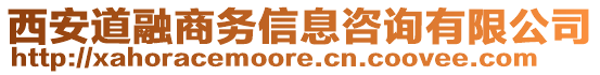 西安道融商務信息咨詢有限公司