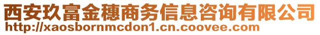 西安玖富金穗商務(wù)信息咨詢有限公司