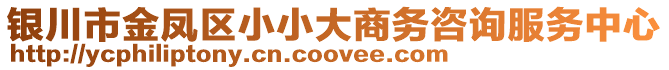 銀川市金鳳區(qū)小小大商務(wù)咨詢服務(wù)中心