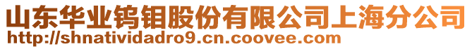 山東華業(yè)鎢鉬股份有限公司上海分公司