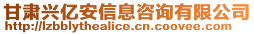 甘肅興億安信息咨詢有限公司