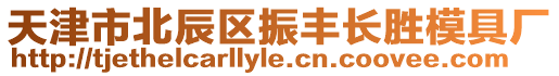 天津市北辰區振豐長勝模具廠