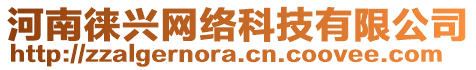 河南徠興網(wǎng)絡(luò)科技有限公司