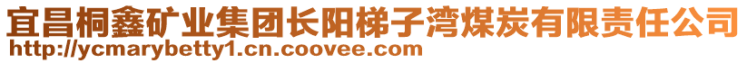 宜昌桐鑫礦業(yè)集團(tuán)長(zhǎng)陽(yáng)梯子灣煤炭有限責(zé)任公司