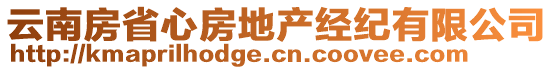 云南房省心房地產(chǎn)經(jīng)紀(jì)有限公司