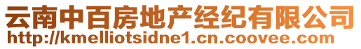 云南中百房地產(chǎn)經(jīng)紀(jì)有限公司