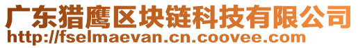 廣東獵鷹區(qū)塊鏈科技有限公司