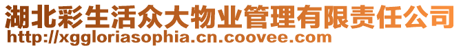 湖北彩生活眾大物業(yè)管理有限責任公司