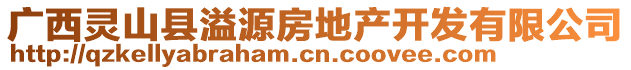廣西靈山縣溢源房地產開發有限公司