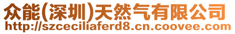 眾能(深圳)天然氣有限公司