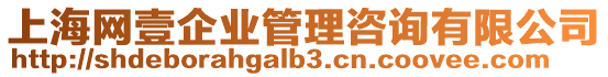 上海網(wǎng)壹企業(yè)管理咨詢有限公司