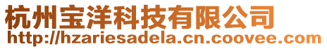 杭州寶洋科技有限公司