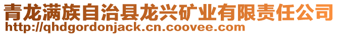 青龍滿族自治縣龍興礦業(yè)有限責(zé)任公司