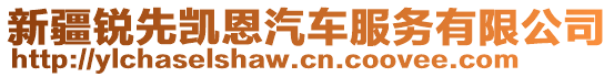 新疆銳先凱恩汽車服務(wù)有限公司