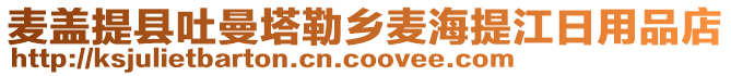 麥蓋提縣吐曼塔勒鄉(xiāng)麥海提江日用品店